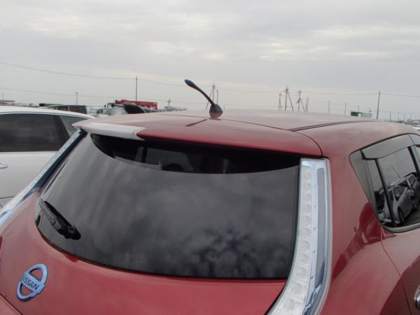 Nissan Leaf 2013 крыша